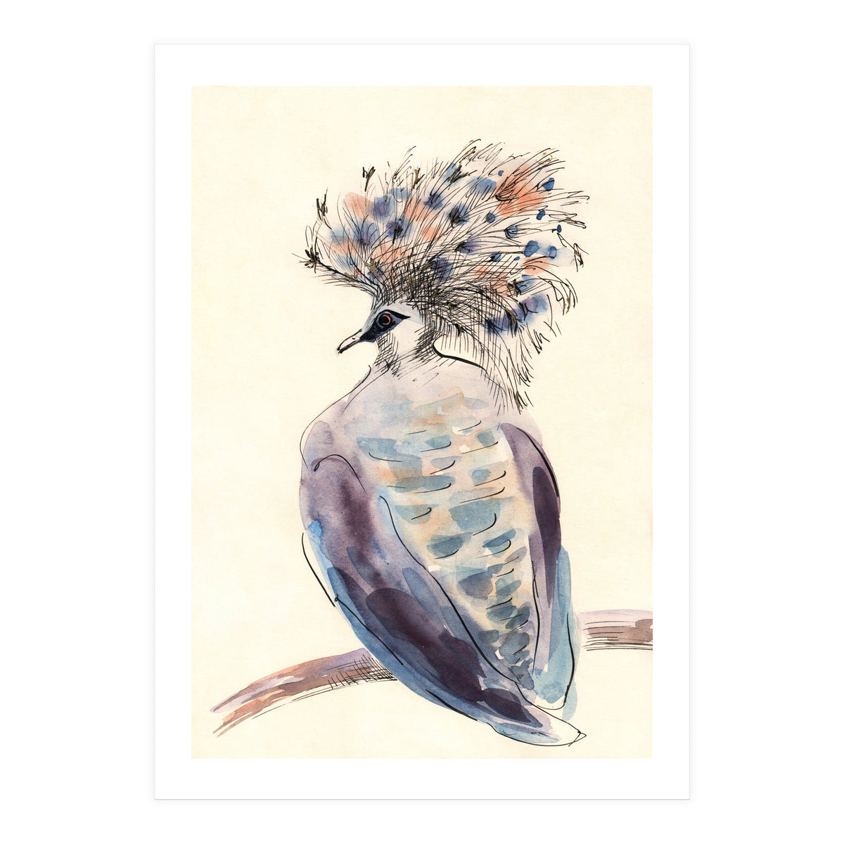 Crowned Pigeon (Print Only)