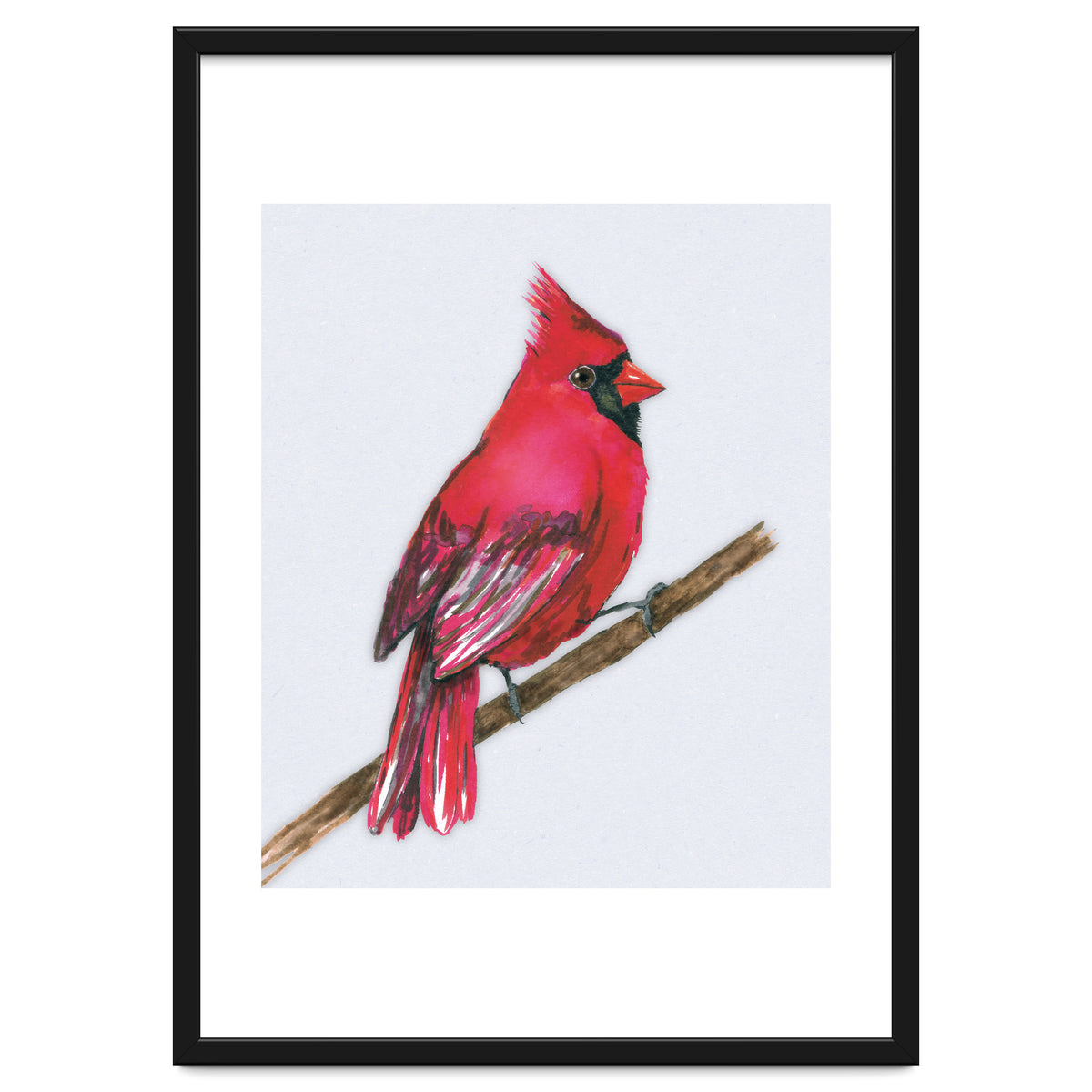 A Northern cardinal watercolor