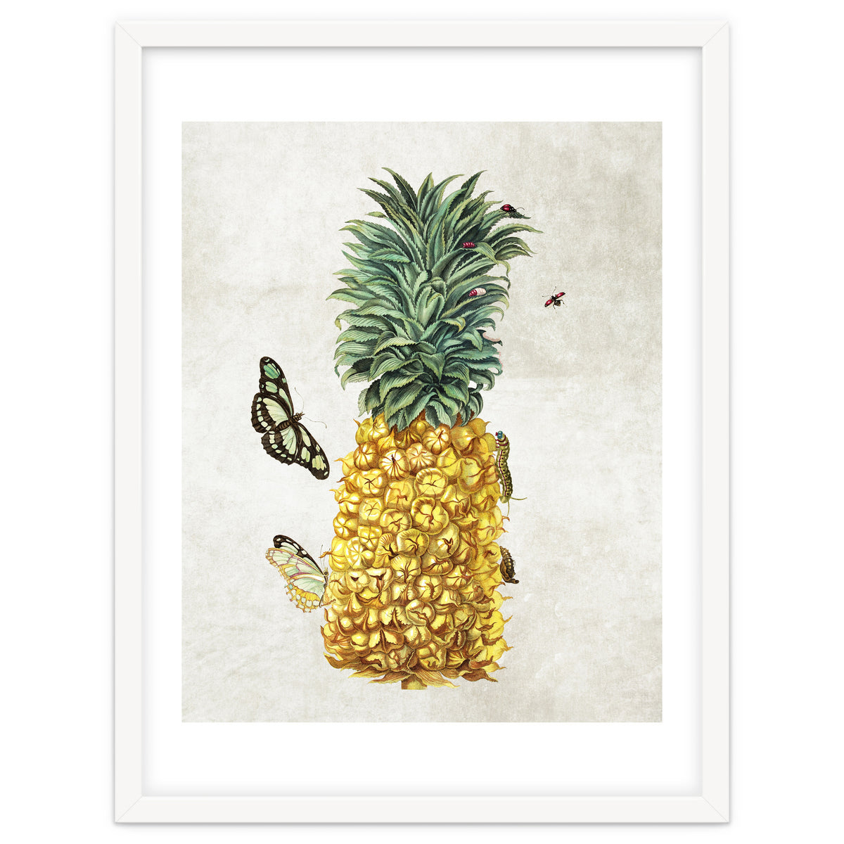ananas