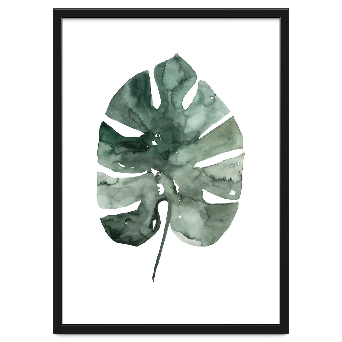Botanical Illustration Monstera Leaf