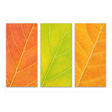 Autumn Leaves (Print Only) thumbnail