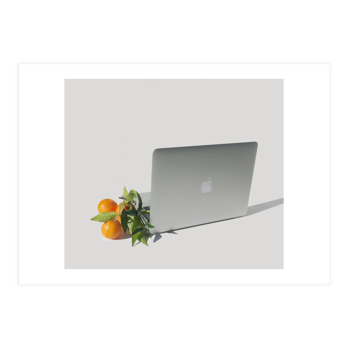 Fruit Salad (Print Only)