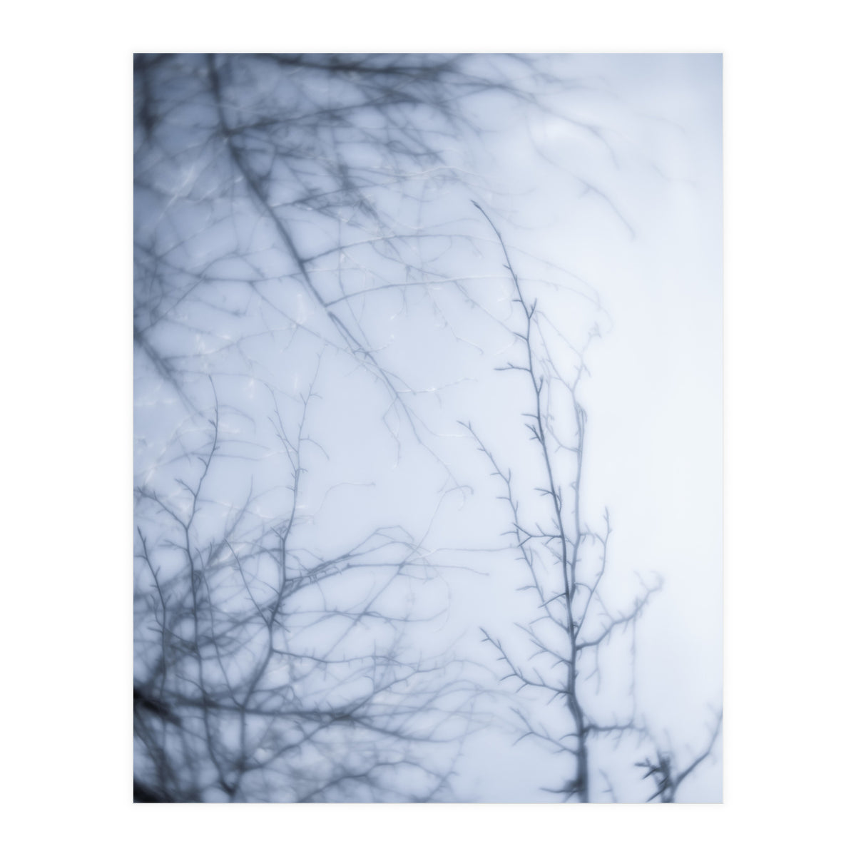 Forgotten Memories of Summer #21 (Print Only)