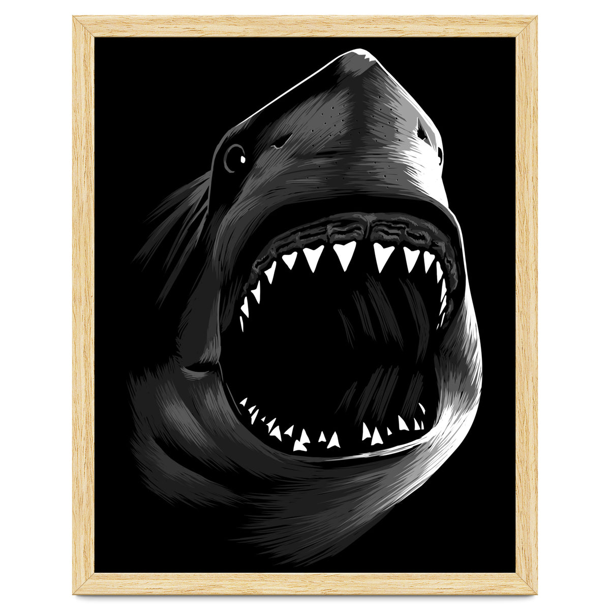 Megalodon