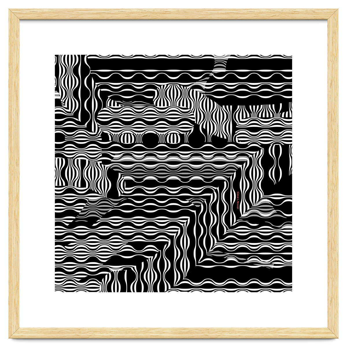 BLACK AND WHITE EXOTIC