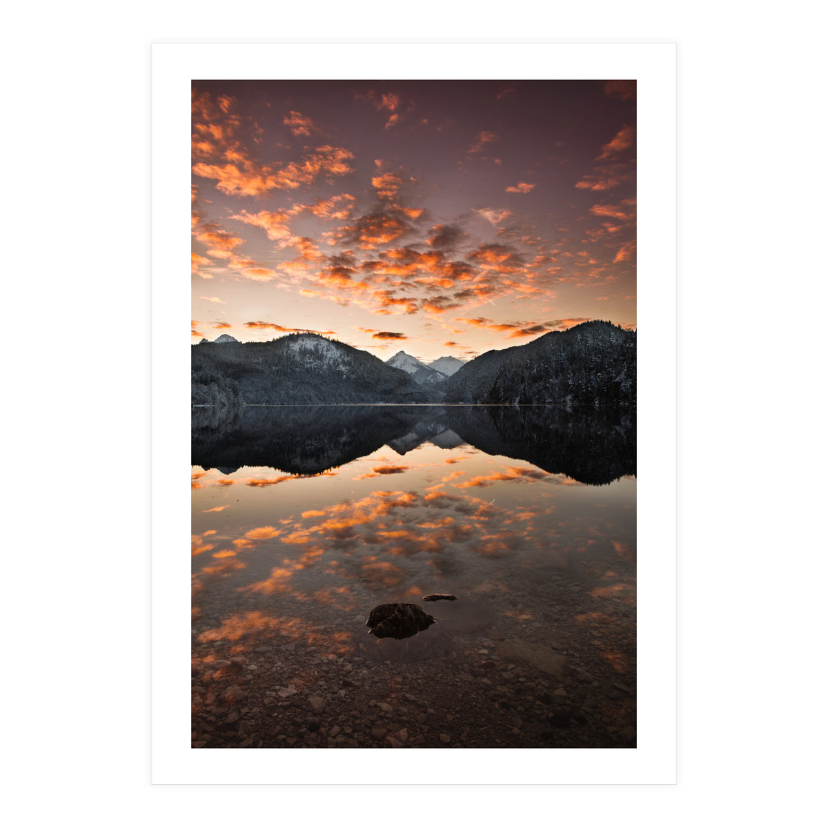 Magestic (Print Only)