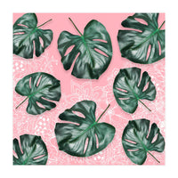 Modern 3d green tropical monstera leaf photo on blush pink white floral illustration (Print Only)