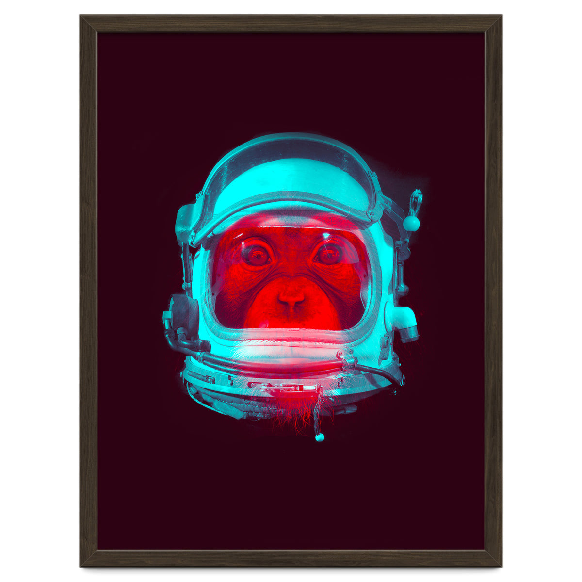 Astronaut