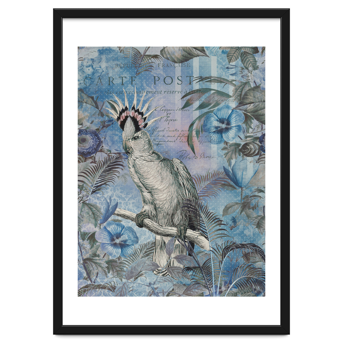 Jungle Cockatoo Blue