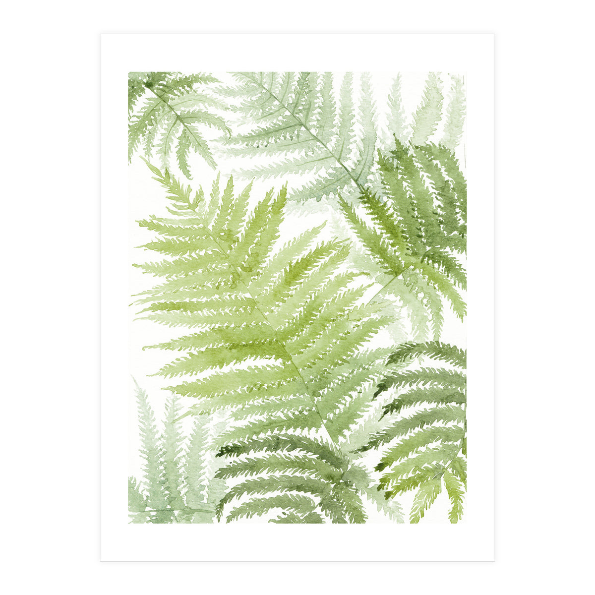 Samambaia  (Print Only)