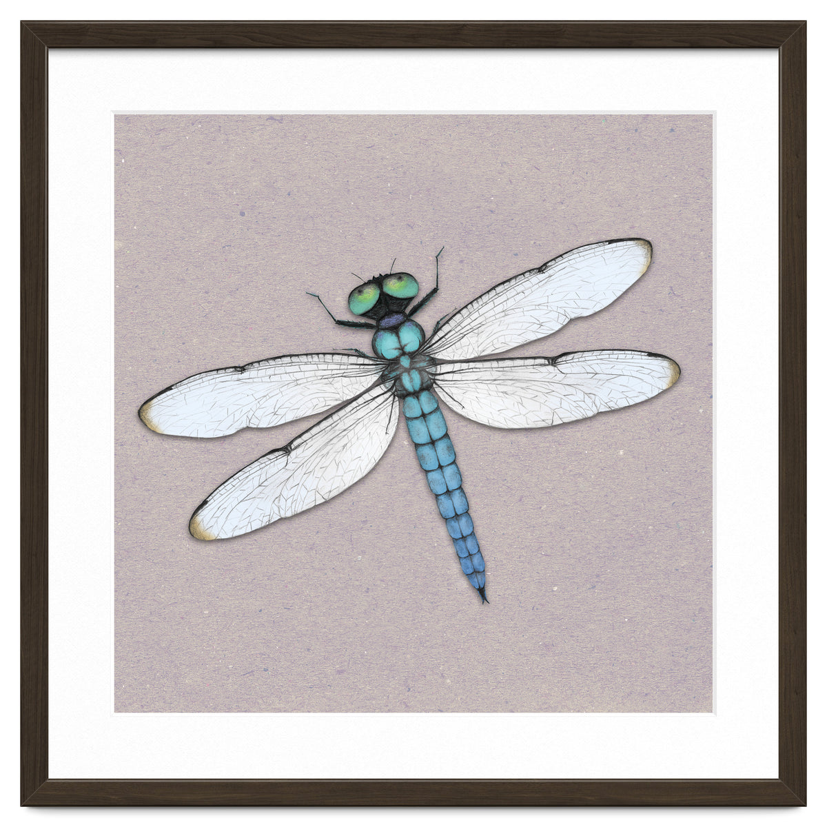Blue dragonfly