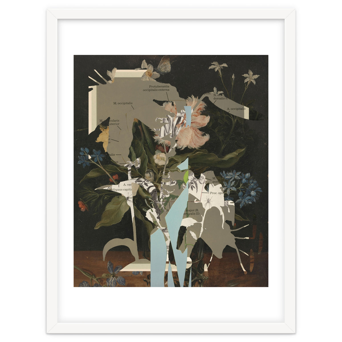 The First Plant · D2