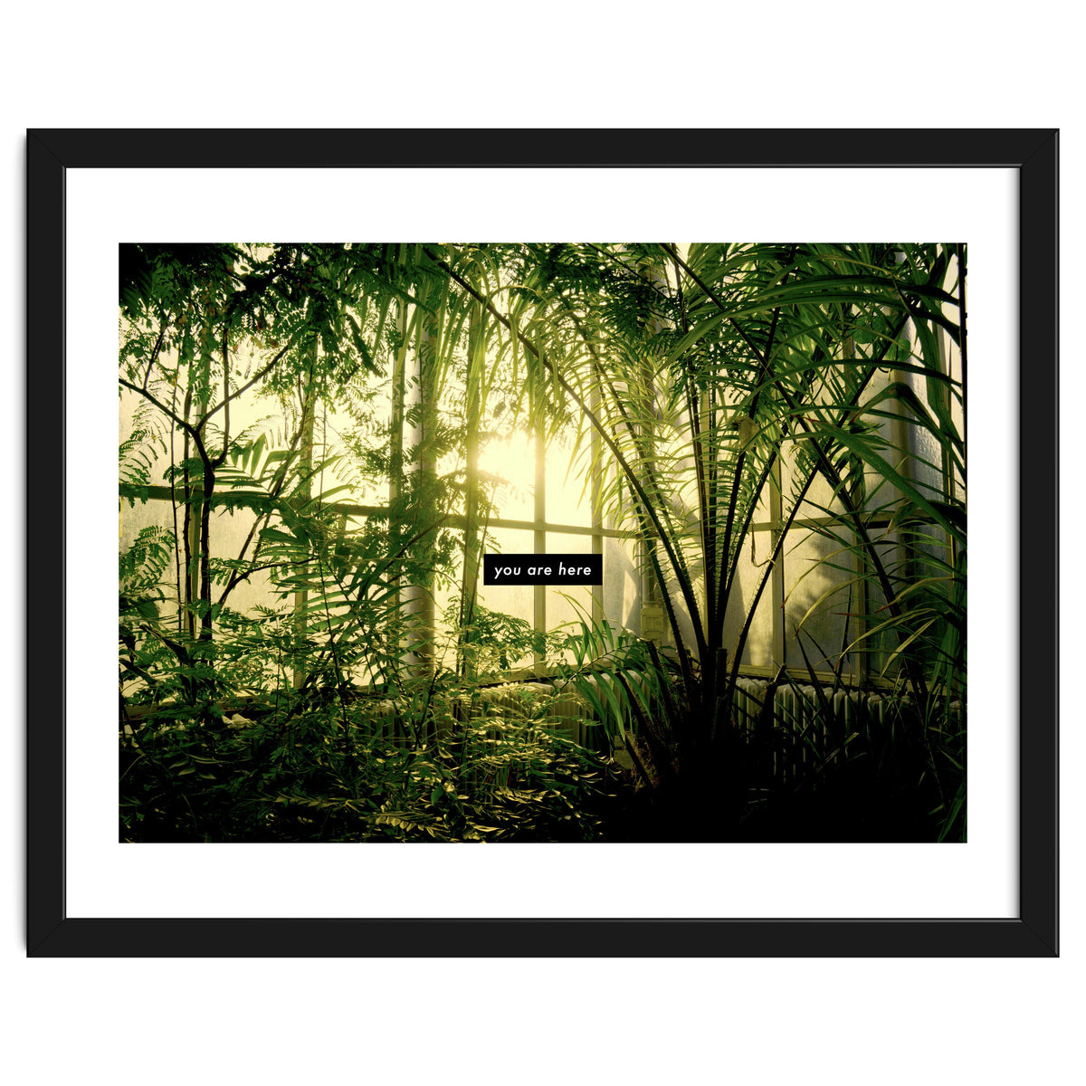 you are here - Nature Photography -