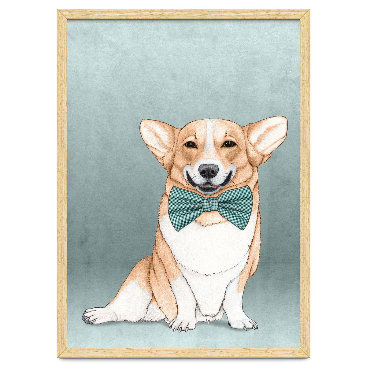 Corgi Dog