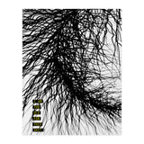 Mad Mind 4 (Print Only) thumbnail