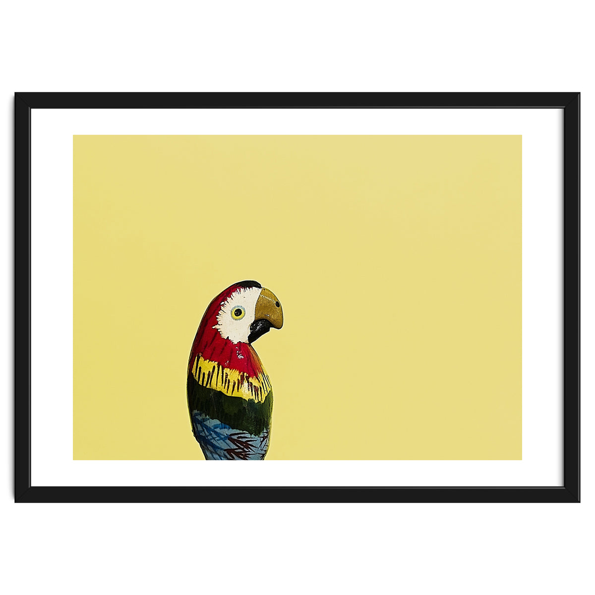 Parrot