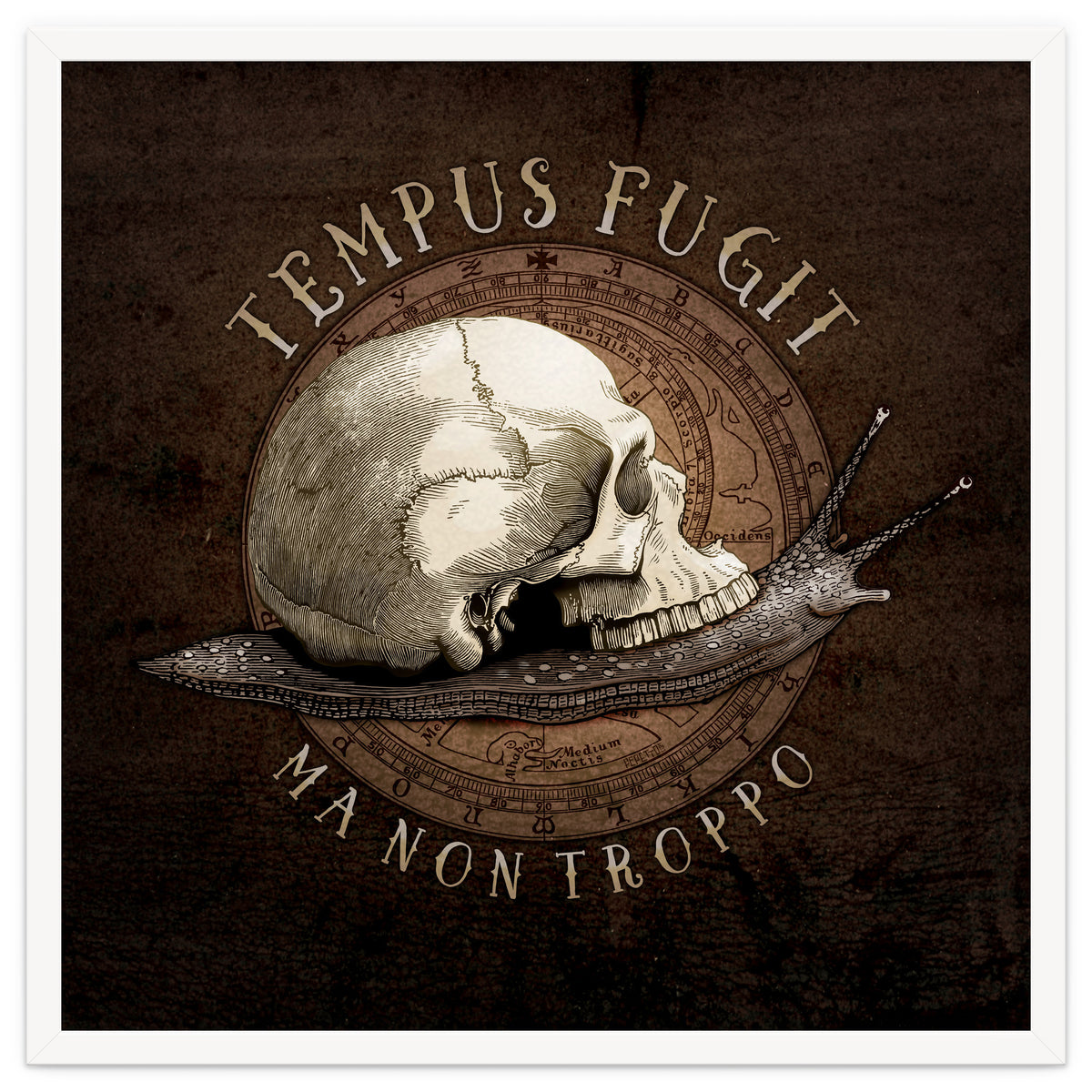 Tempus Fugit (ma non troppo)