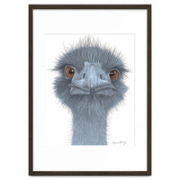 The Blue Emu