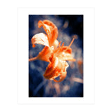 Lily Flower (Print Only) thumbnail