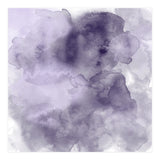 The Big Rain (Print Only) thumbnail
