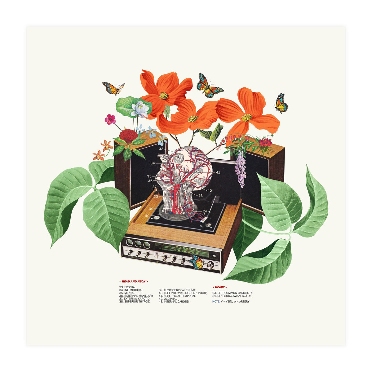 Brainwave (Print Only)