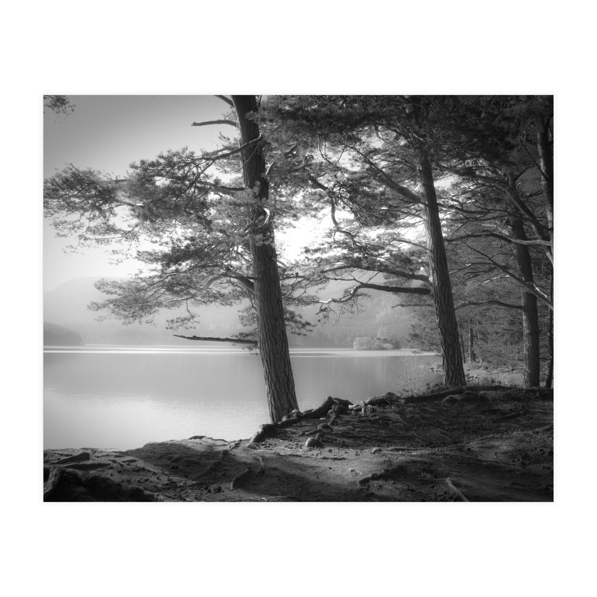 Loch an Eilein (Print Only)