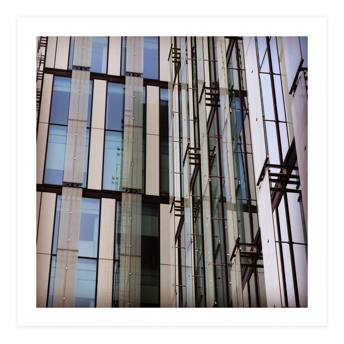 305 E9 E2 D 3758 4571 9 F51 C94 Aabd2 Ef43 (Print Only)