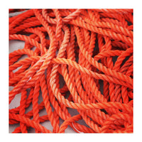Orange ropes (Print Only)