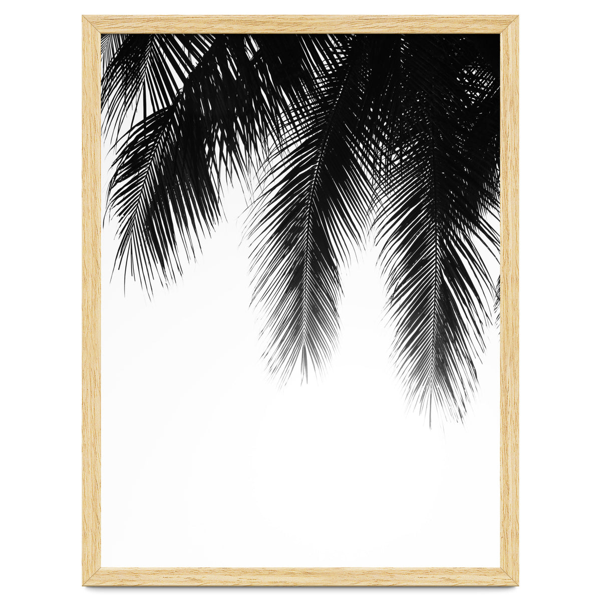 Palm leaves