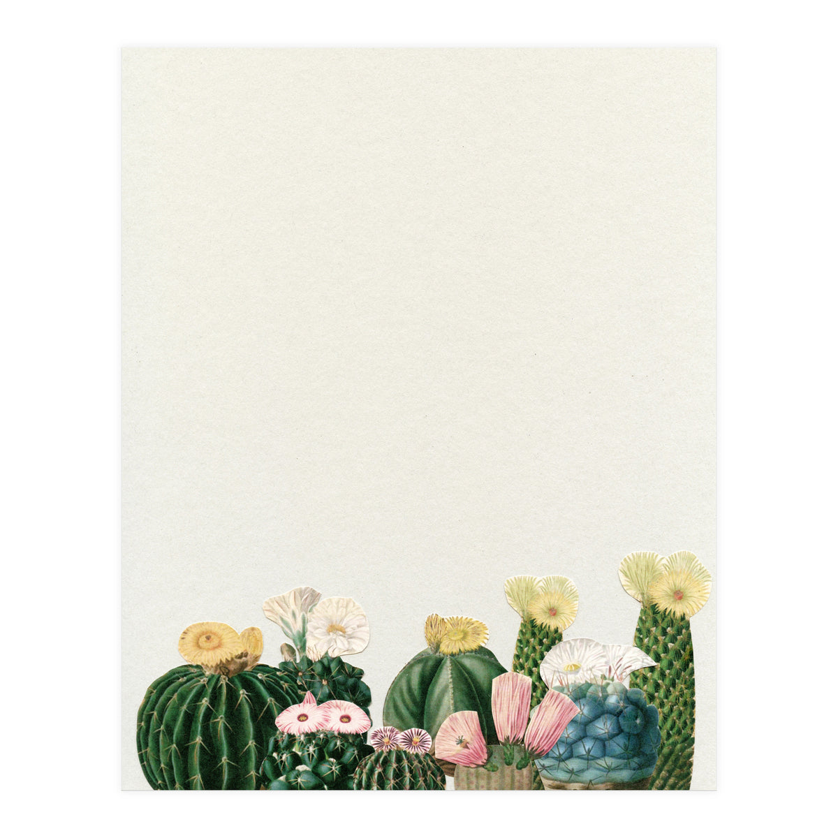 Cactus Garden (Print Only)