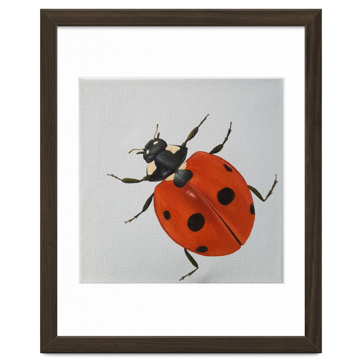 Ladybird