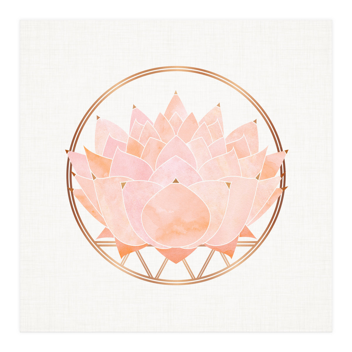 Peach Succulent  Blossom (Print Only)