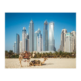 Camel (Print Only) thumbnail