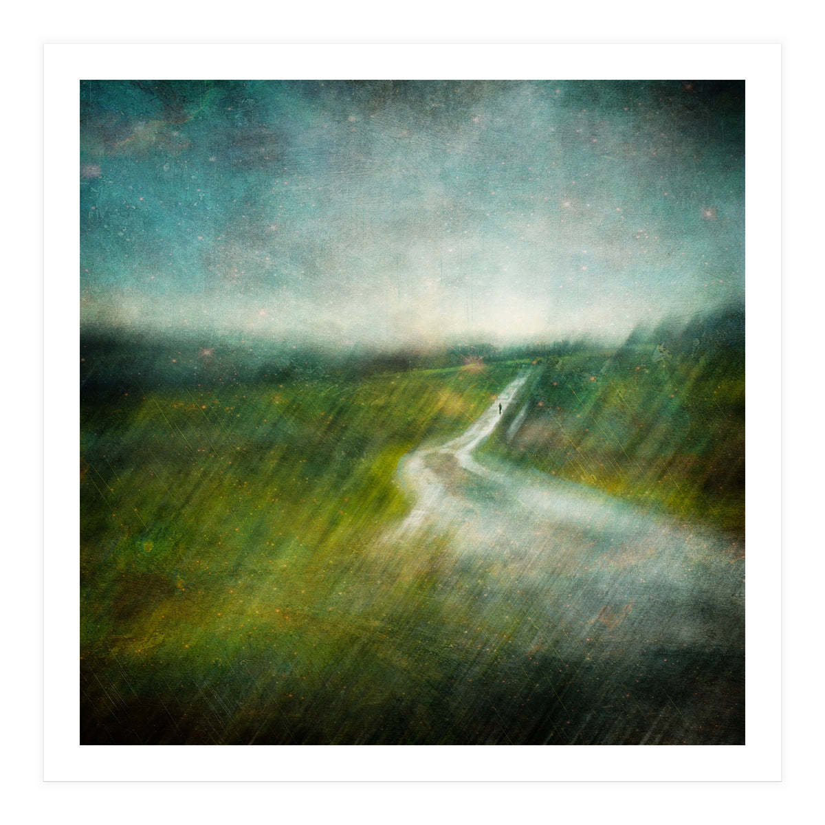 The Road Ahead (Print Only)