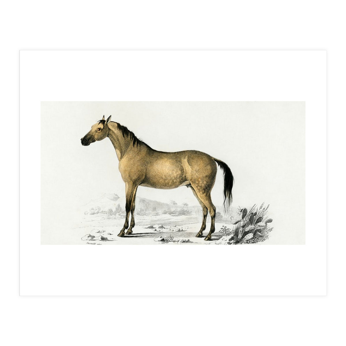 Horse (Print Only)