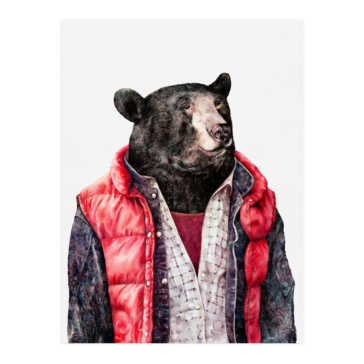 Black Bear (Print Only)