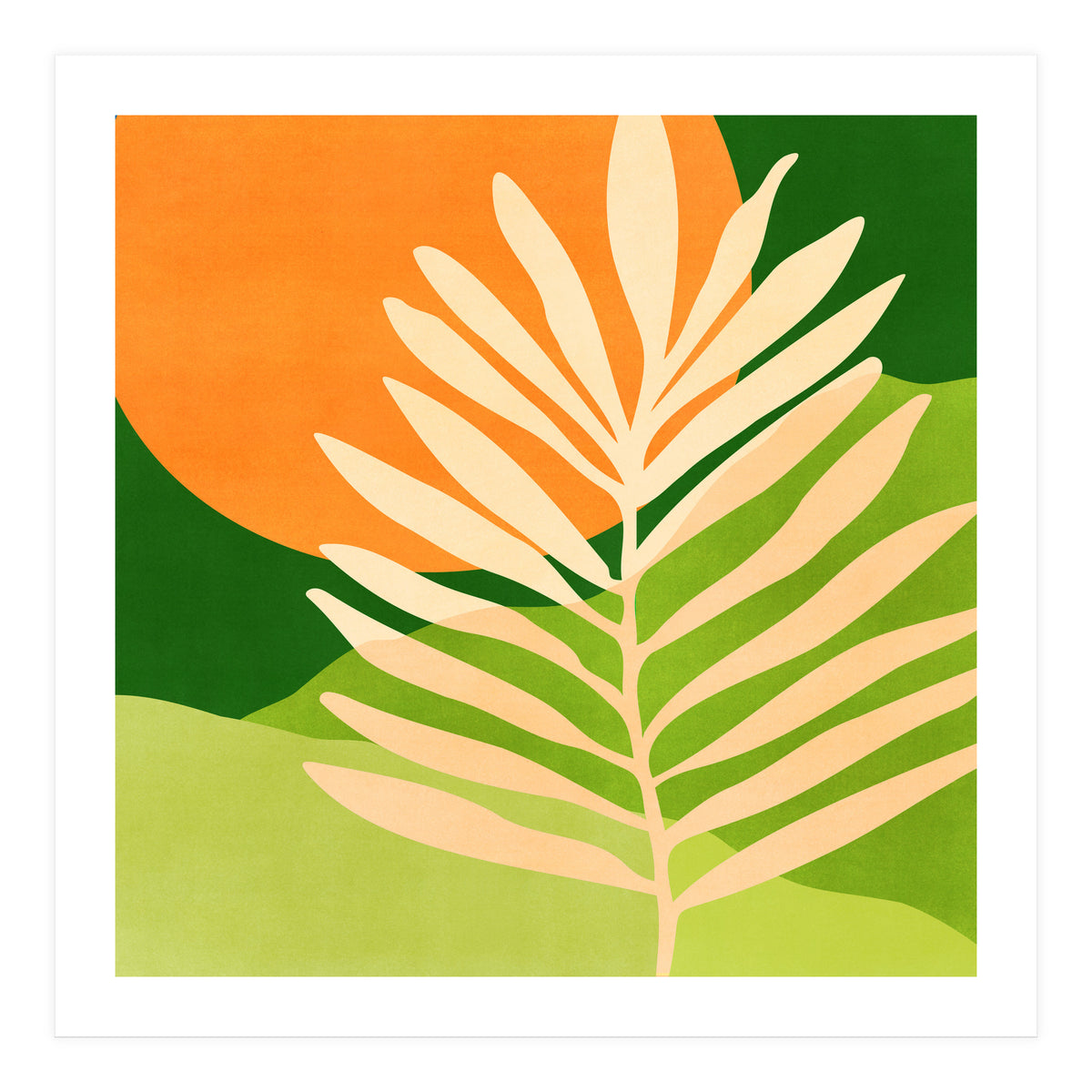 Sunny Palm Frond (Print Only)
