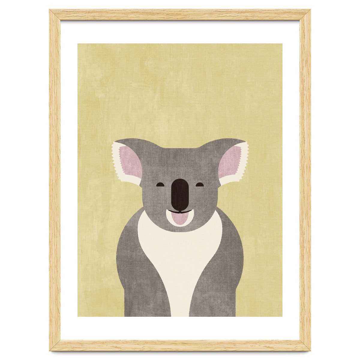 FAUNA / Koala