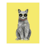 Summer Cat (Print Only) thumbnail