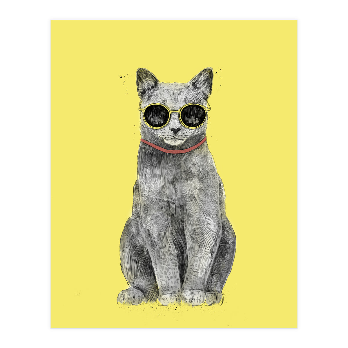 Summer Cat (Print Only)