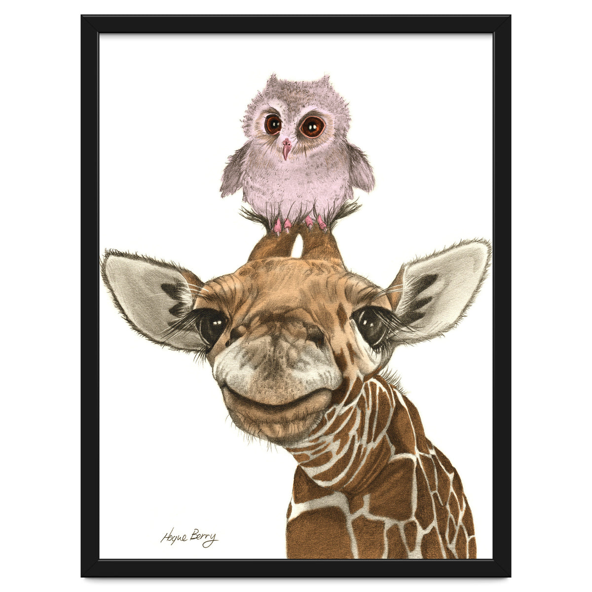 Giraffe and Owl