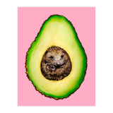 Hedgehocado (Print Only) thumbnail