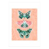 Lepidoptery No. 3 (Print Only) thumbnail