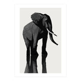 Elephant (Print Only) thumbnail