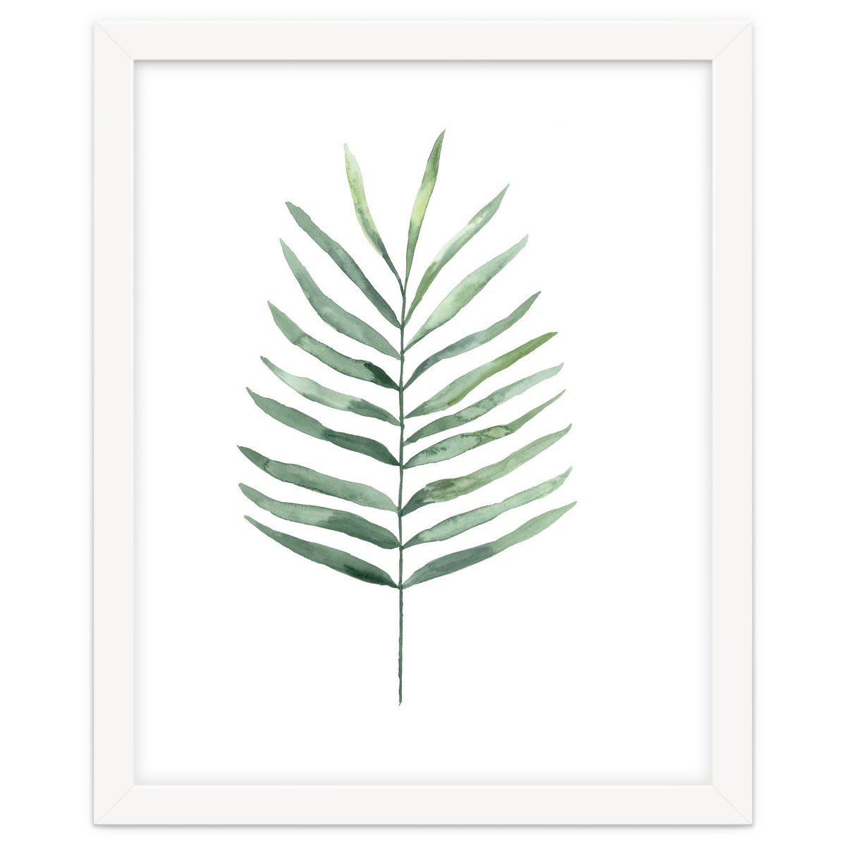 Botanical Illustration Fern