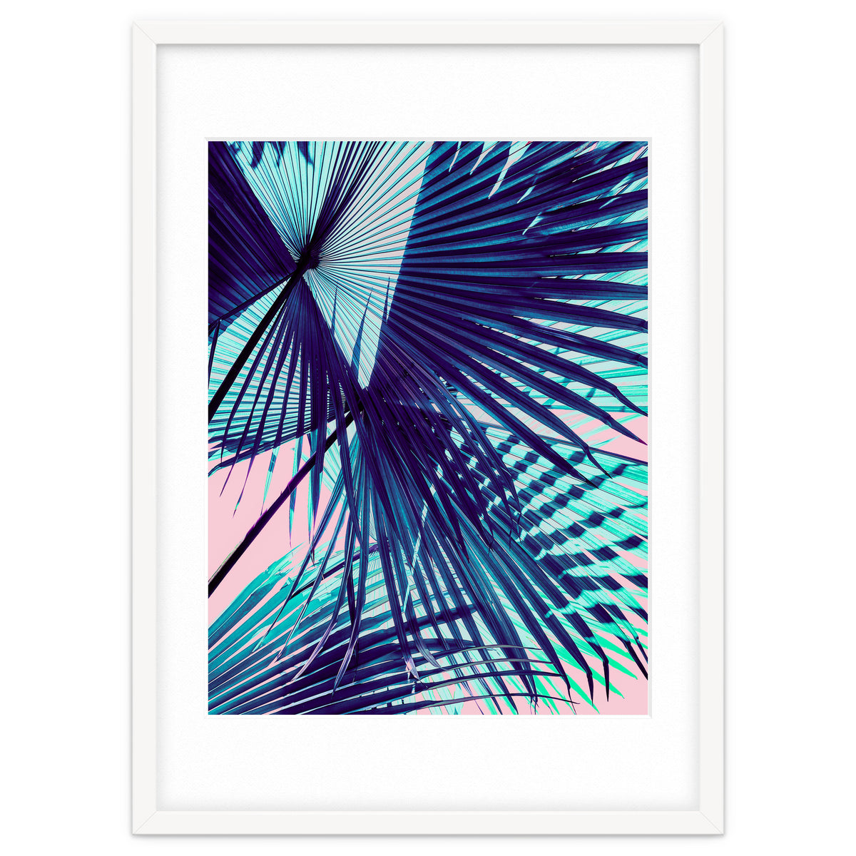 Palm leaf on the beach