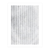 Shadowplay White (Print Only) thumbnail