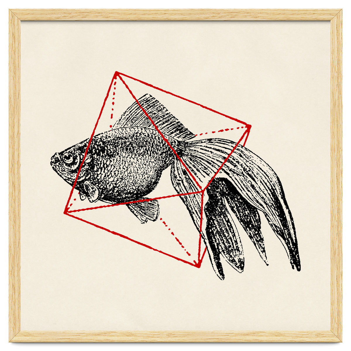 Fish In Geometrics III (Square)