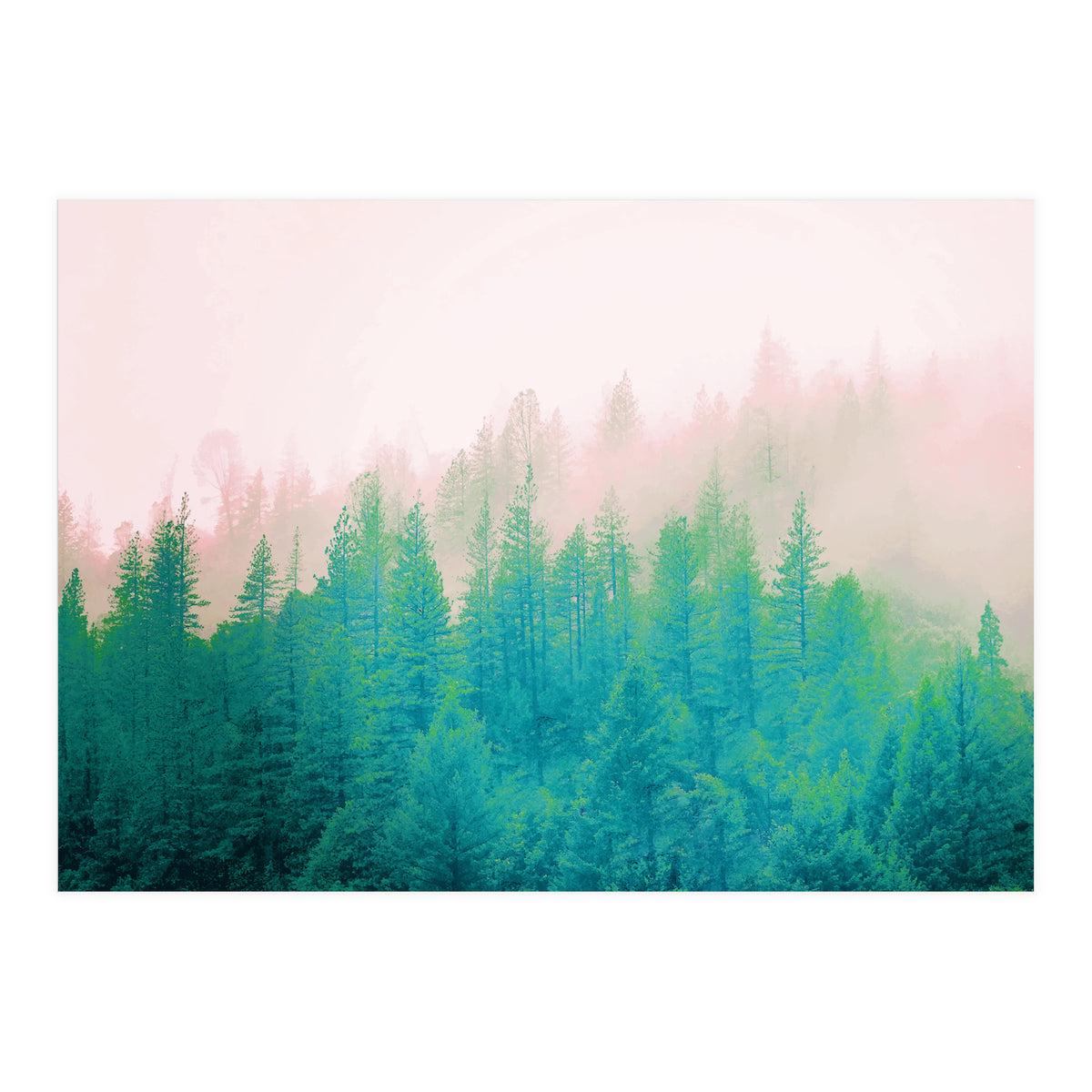Forest Fog V2 (Print Only)