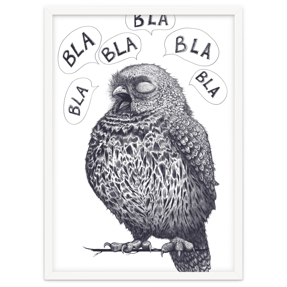 Owl Bla Bla Bla